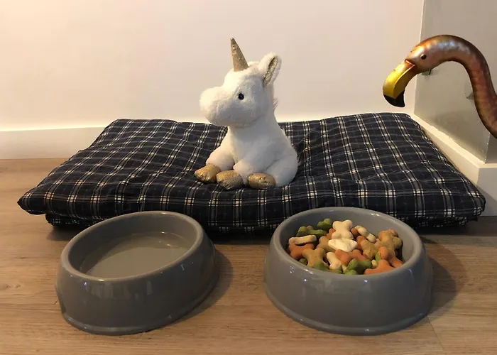 Apartament Serendipia